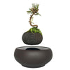 Magnetic Levitation Air Floating Bonsai Plant pot - Wolrdiscounts