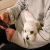HOODIE WITH CUDDLE POUCH - Wolrdiscounts