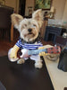 Funny yet cool guitar player yorkie costume - Wolrdiscounts