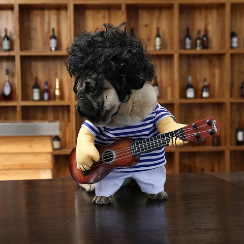 Funny yet cool guitar player yorkie costume - Wolrdiscounts