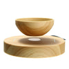 Air Planter - Levitating Planter - Wolrdiscounts
