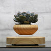 Air Planter - Levitating Planter - Wolrdiscounts
