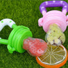 Baby Fresh Fruit Pacifier - Wolrdiscounts