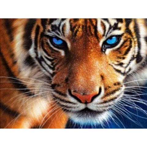 Tiger Eyes - Diamond Paint Kit - Wolrdiscounts