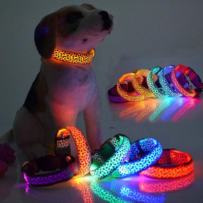 LED GLOW DOG COLLAR - OFFER - Wolrdiscounts