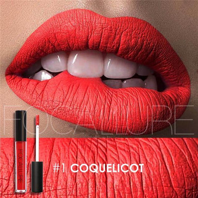 Focallure Waterproof Liquid Lipstick Matte (Smudge Proof Lipstick) - Wolrdiscounts