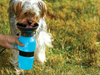 Aqua Dog BOTTLE - Wolrdiscounts