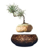 Magnetic Levitation Air Floating Bonsai Plant pot - Wolrdiscounts