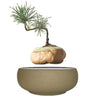 Magnetic Levitation Air Floating Bonsai Plant pot - Wolrdiscounts