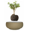 Magnetic Levitation Air Floating Bonsai Plant pot - Wolrdiscounts