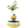 Magnetic Levitation Air Floating Bonsai Plant pot - Wolrdiscounts