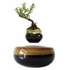 Magnetic Levitation Air Floating Bonsai Plant pot - Wolrdiscounts