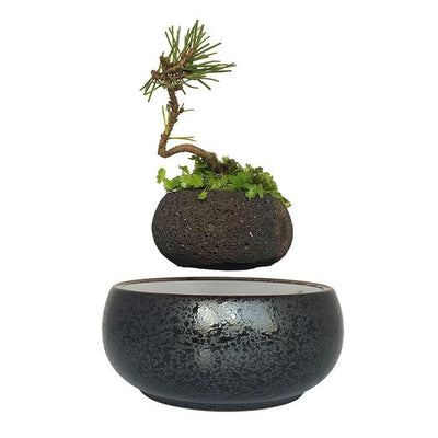 Magnetic Levitation Air Floating Bonsai Plant pot - Wolrdiscounts