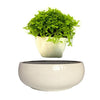 Magnetic Levitation Air Floating Bonsai Plant pot - Wolrdiscounts