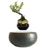 Magnetic Levitation Air Floating Bonsai Plant pot - Wolrdiscounts