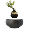 Magnetic Levitation Air Floating Bonsai Plant pot - Wolrdiscounts