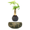 Magnetic Levitation Air Floating Bonsai Plant pot - Wolrdiscounts