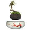 Magnetic Levitation Air Floating Bonsai Plant pot - Wolrdiscounts