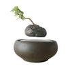 Magnetic Levitation Air Floating Bonsai Plant pot - Wolrdiscounts