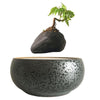 Magnetic Levitation Air Floating Bonsai Plant pot - Wolrdiscounts