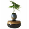 Magnetic Levitation Air Floating Bonsai Plant pot - Wolrdiscounts