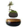 Magnetic Levitation Air Floating Bonsai Plant pot - Wolrdiscounts